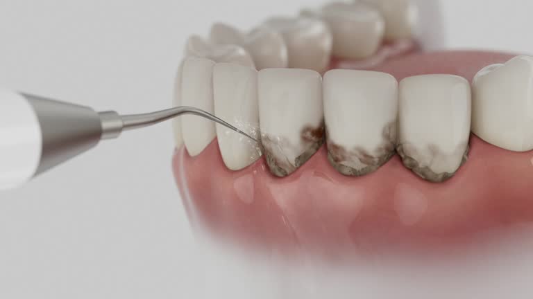 Reliable Dental contractor in Basile, LA by Dentist Open Now